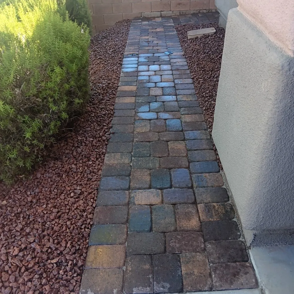 Professional landscaping services in Henderson, NV - DLandscaping Services