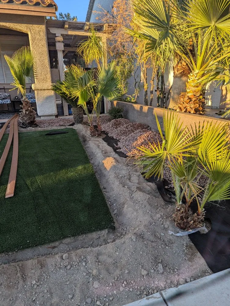 Affordable lawn care service for residential properties in Henderson, NV by DLandscaping Services