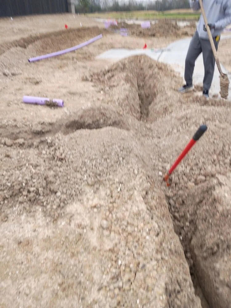 Top-rated lawn care service with custom design across Houston, TX - Dlarios Home Service