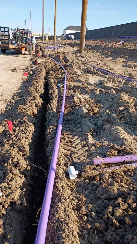 Expert yard cleanup service experts serving Houston, TX - Dlarios Home Service