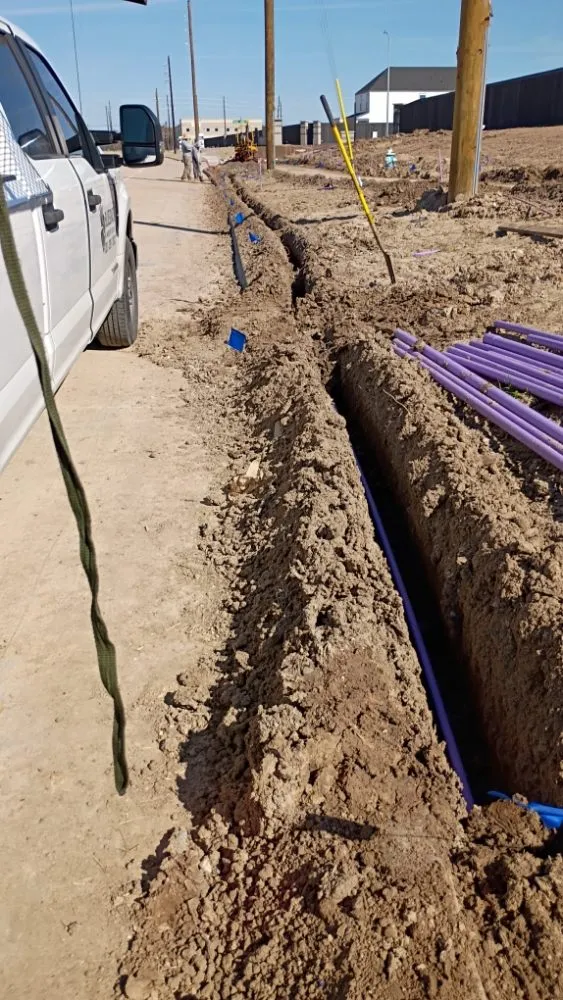 Trusted landscape design for homes in Houston, TX by Dlarios Home Service