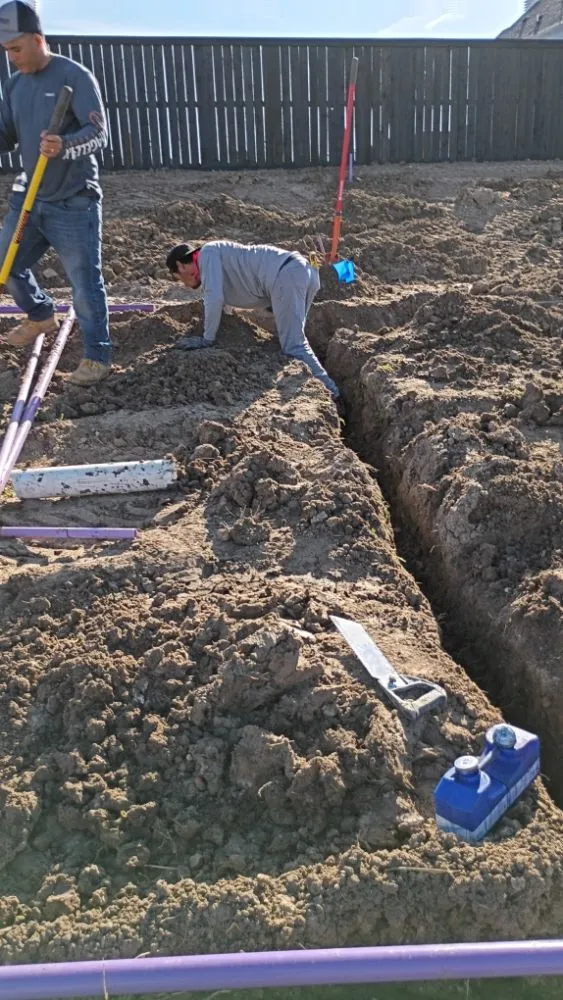 Trusted residential landscaping for year-round maintenance in Houston, TX by Dlarios Home Service