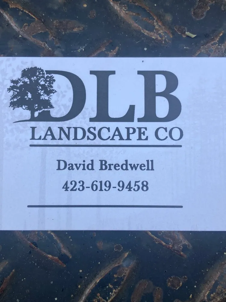 Custom landscape installation in Signal Mountain, TN - DLB Landscape