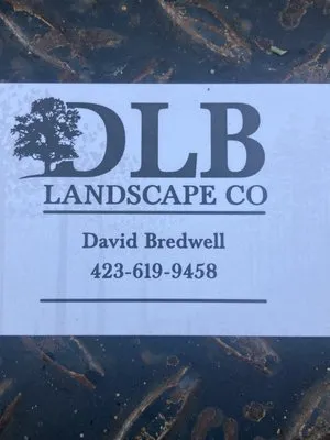 DLB Landscape Logo