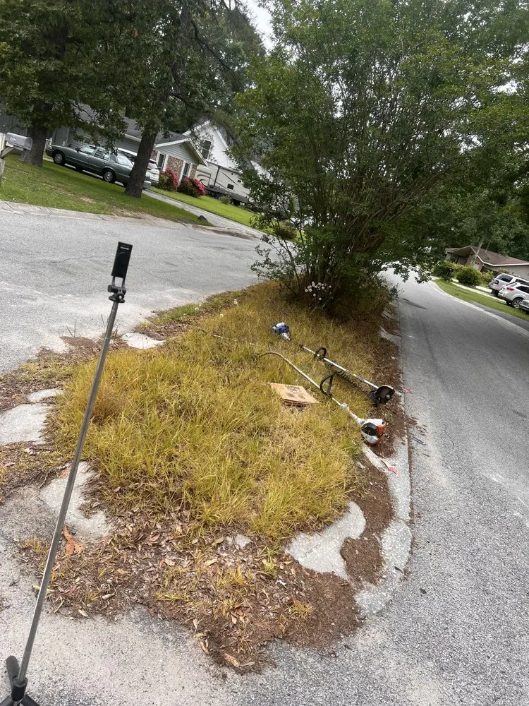 Top-rated outdoor landscaping experts serving Goose Creek, SC - DLC and more