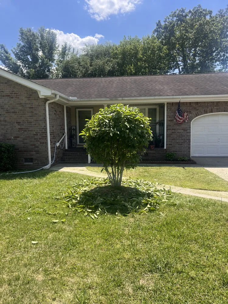 Top-rated residential landscaping for year-round maintenance in Goose Creek, SC by DLC and more