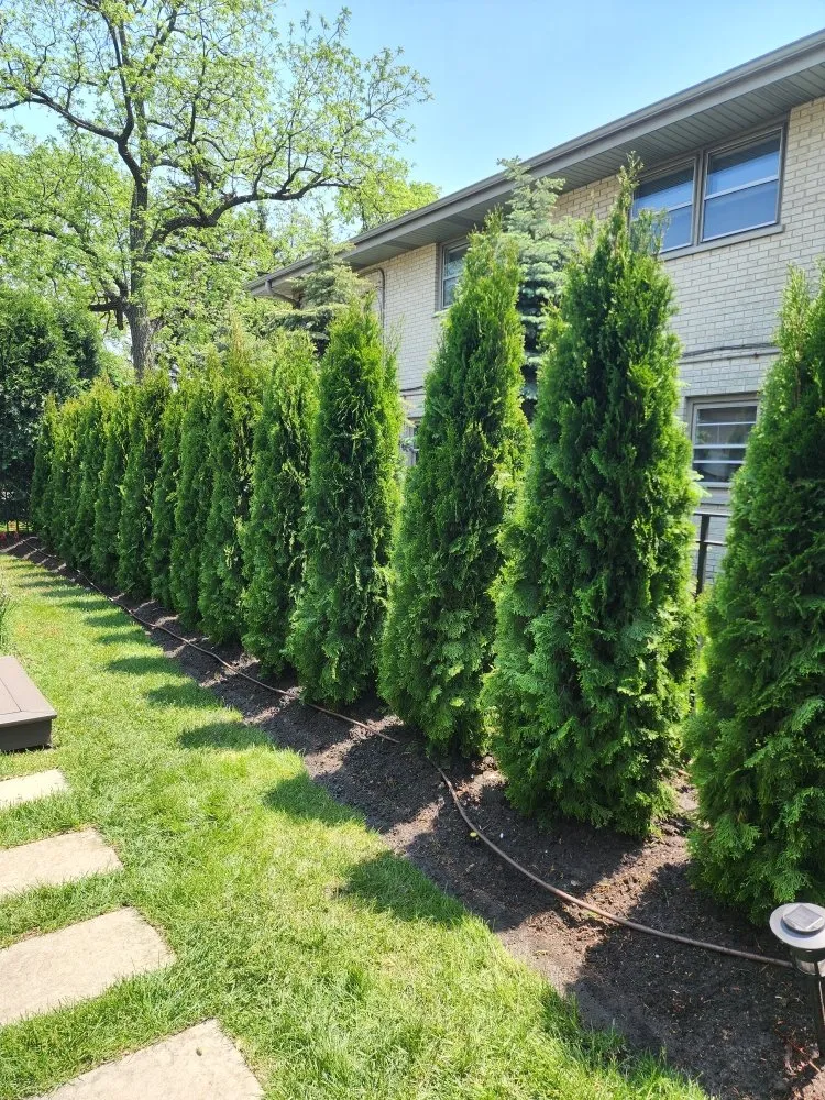 Top-rated landscape installation for year-round maintenance across Chicago, IL - Dlc Landscaping