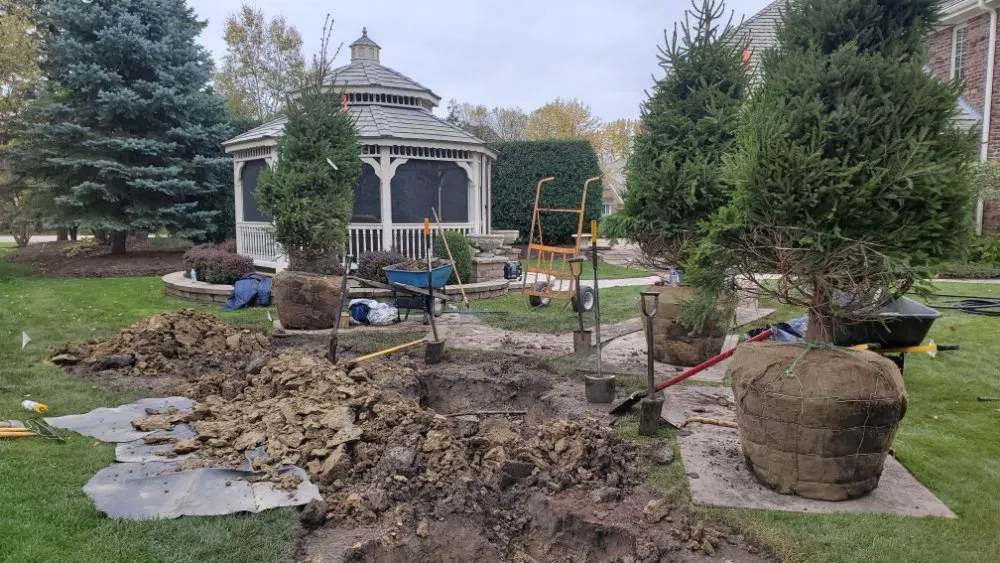 Custom lawn mowing service in Chicago, IL by Dlc Landscaping