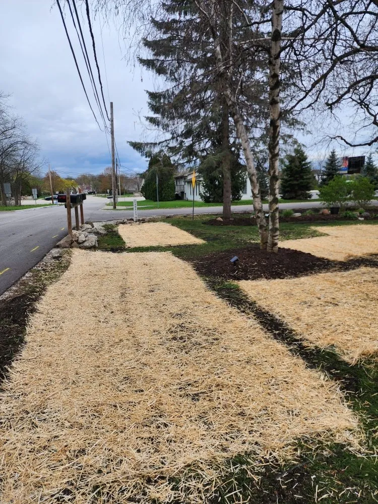 Top-rated yard maintenance near you in Chicago, IL by Dlc Landscaping