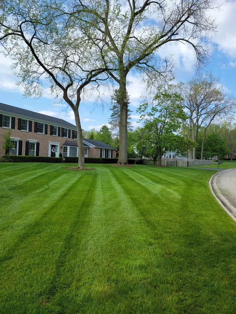 Trusted landscape installation in Chicago, IL - Dlc Landscaping