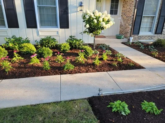 Dlc Landscaping Logo