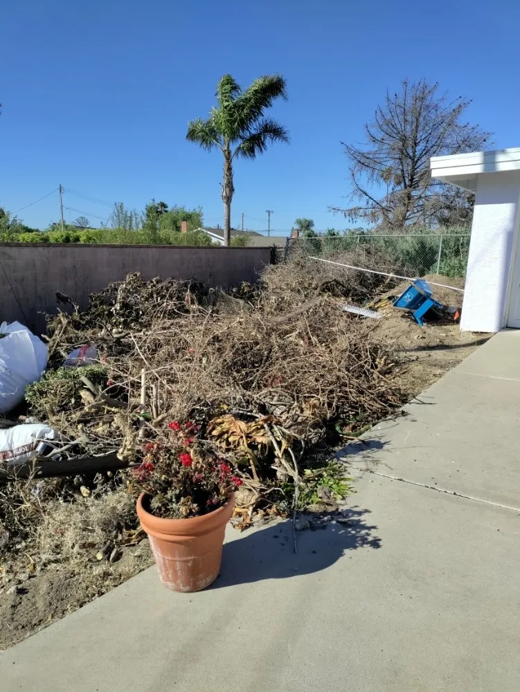 Local yard cleanup service experts serving Thousand Oaks, CA - DLC Landscaping