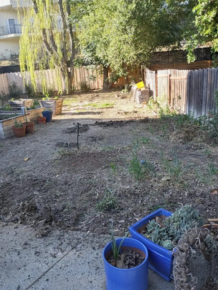 Custom landscaping services experts serving Thousand Oaks, CA - DLC Landscaping