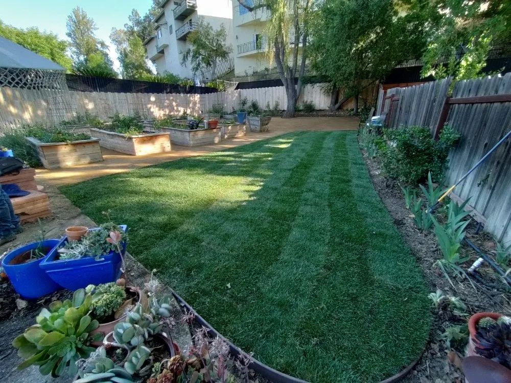 Trusted residential landscaping with custom design in Thousand Oaks, CA by DLC Landscaping