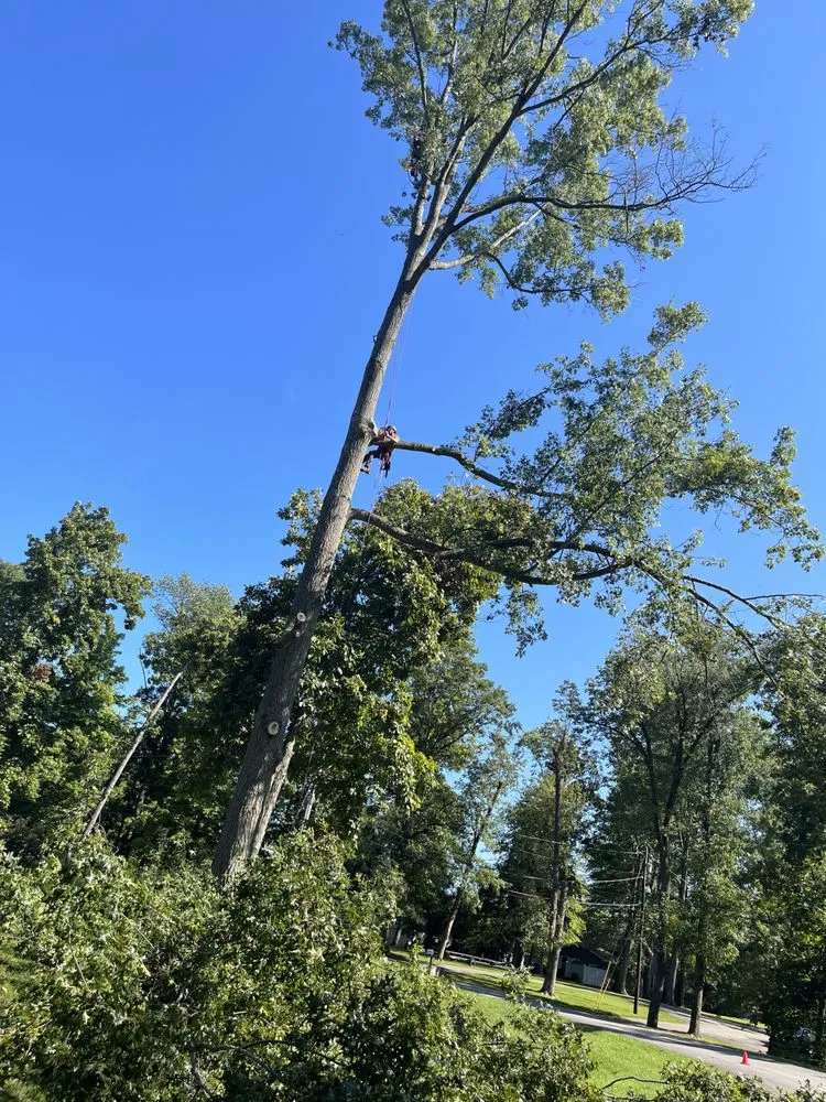 Local outdoor landscaping in Goshen, OH - DLC Lawn and Tree