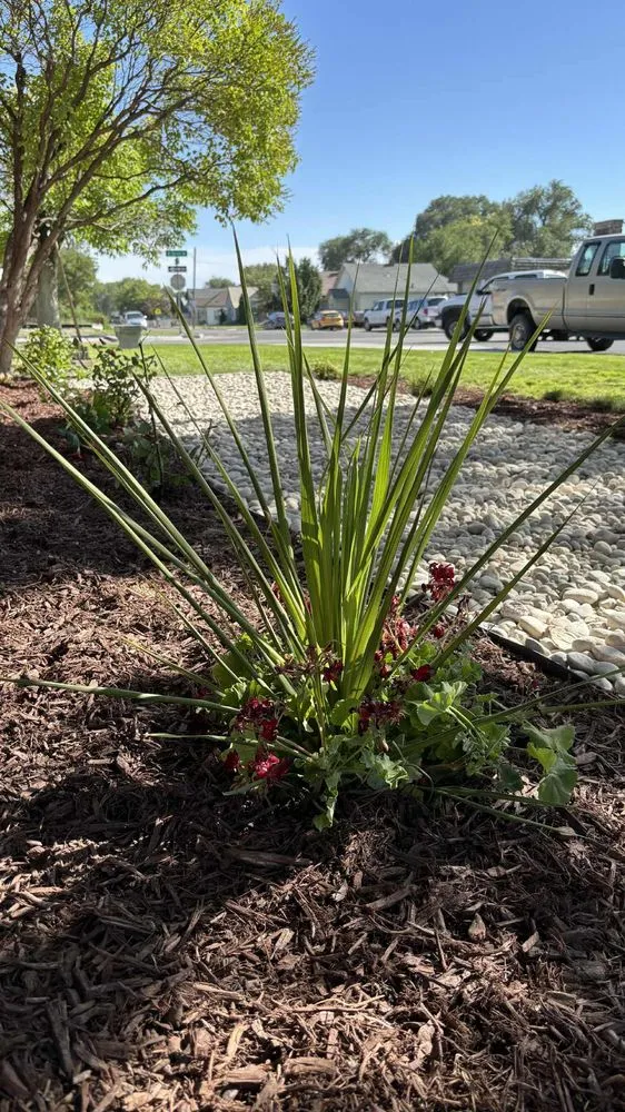 Professional garden landscaping with custom design in Vale, OR by Dlc Lawn Care Services