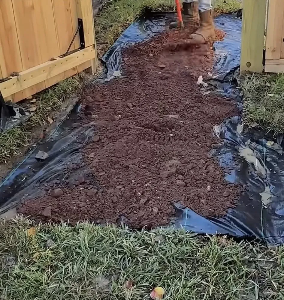 Affordable garden landscaping in El Paso, TX by Dlc Paintz