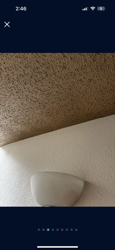 Reliable yard maintenance for year-round maintenance in El Paso, TX by Dlc Paintz