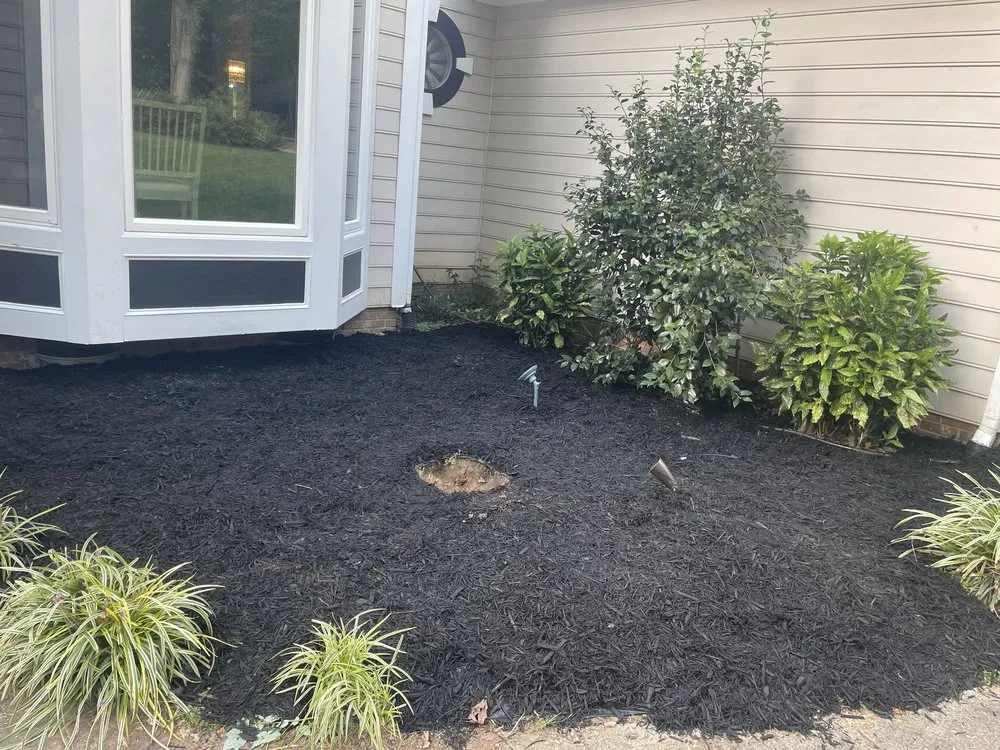 Top-rated lawn mowing service experts serving Mooresville, NC - DLC Solutions