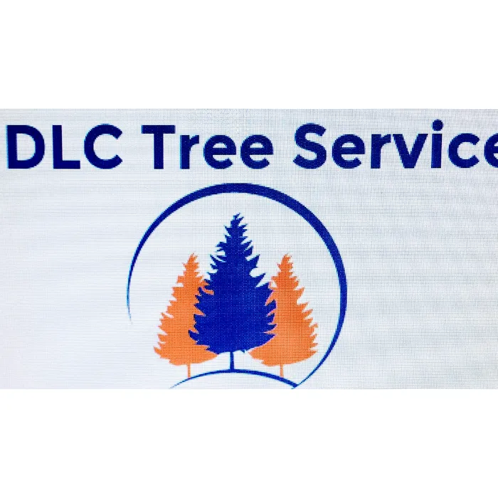 Reliable lawn care service in Marietta, GA - DLC Tree & Landscaping Services