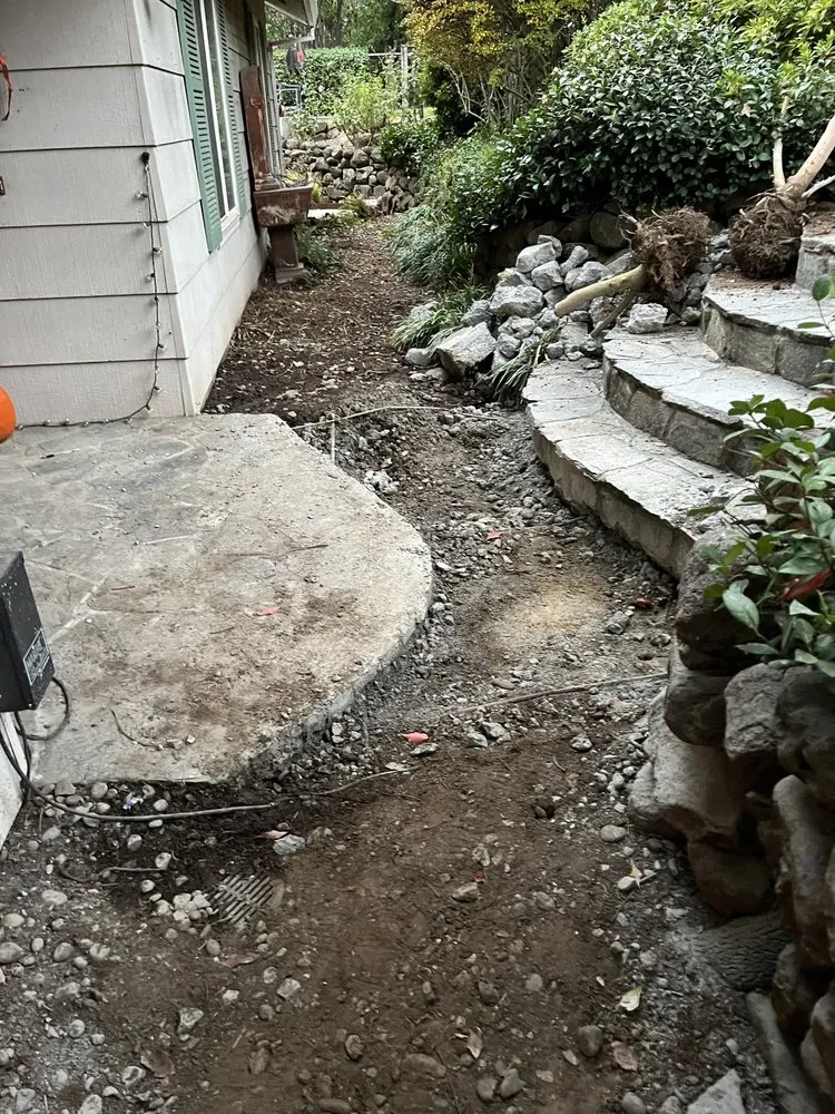 Professional residential landscaping for year-round maintenance across Roseville, CA - DLD Concrete Landscaping and Fencing