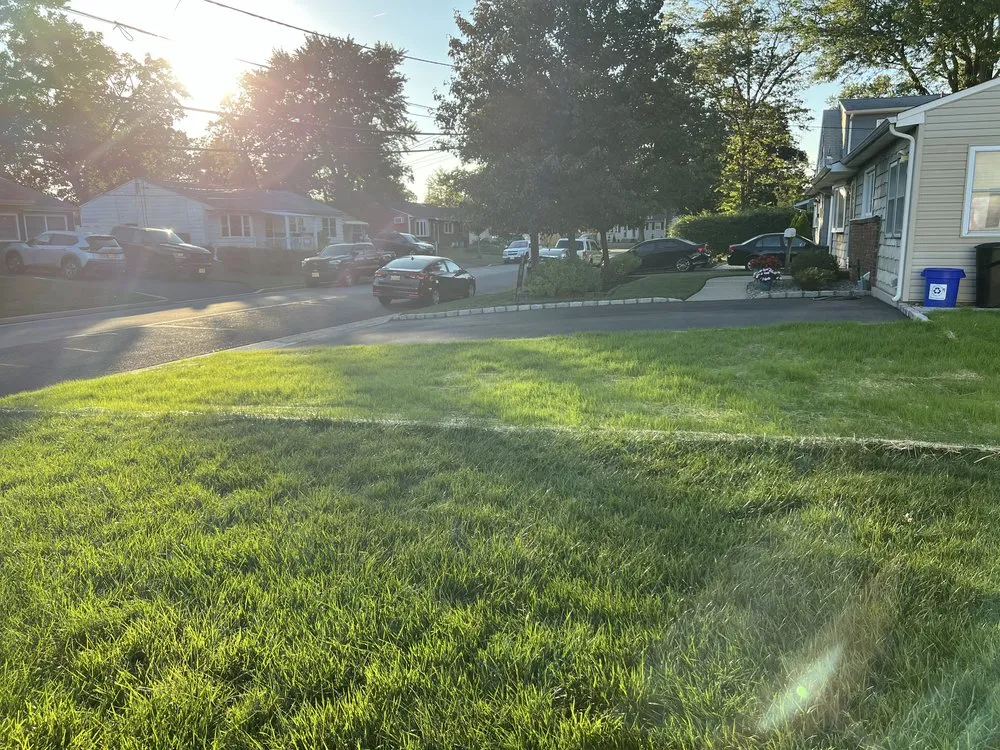 Top-rated landscape installation in Bound Brook, NJ by DLD Landscaping