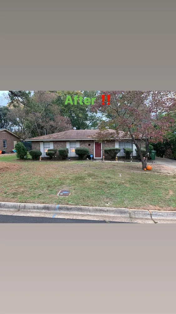 Local landscaping services for beautiful yards in Montgomery, AL by DLE Lawn Enforcement