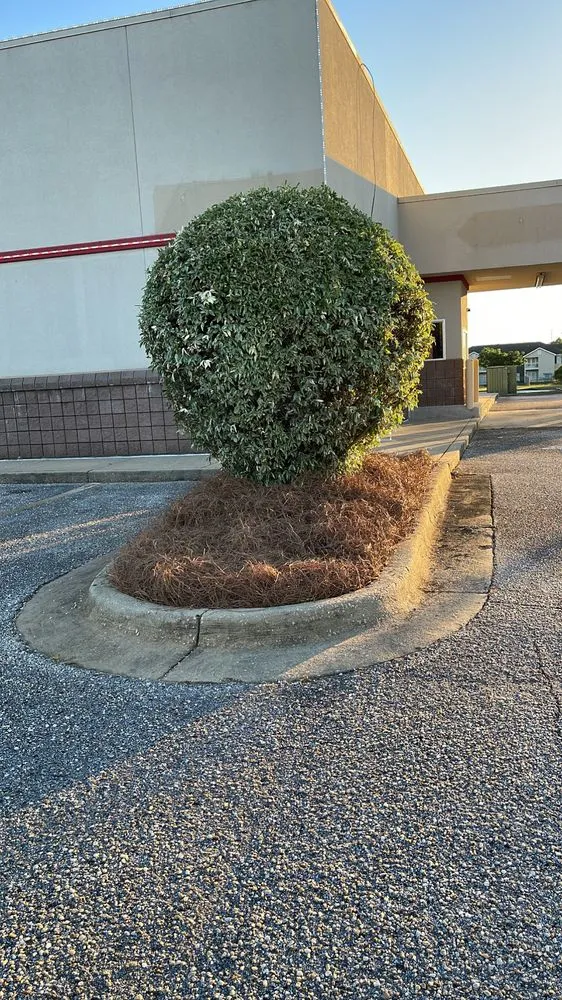 Professional lawn care service experts serving Montgomery, AL - DLE Lawn Enforcement