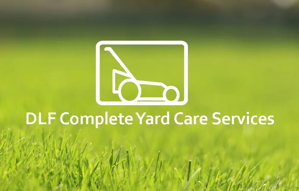 Custom lawn care service for outdoor upgrades across Madison, WI - DLF Complete Yard Care Services