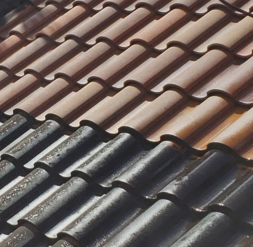 Local landscape design for homes across Lantana, FL - DLG Landscaping Rescue