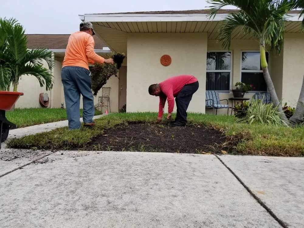 Local landscape design experts serving Lantana, FL - DLG Landscaping Rescue