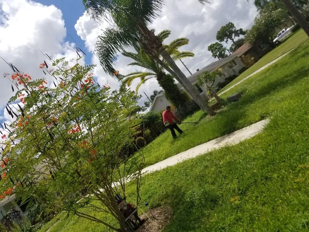 Top-rated landscape installation in Lantana, FL - DLG Landscaping Rescue