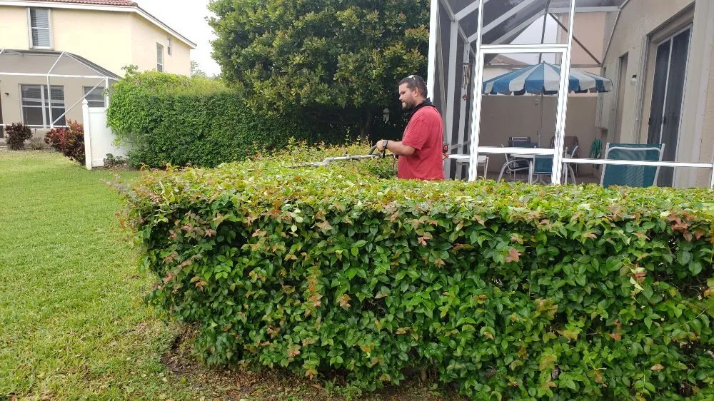 Trusted residential landscaping near you across Lantana, FL - DLG Landscaping Rescue