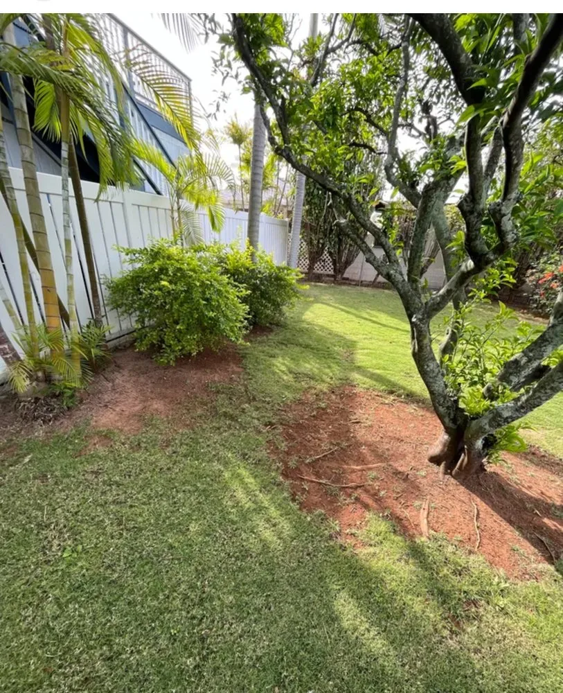 Affordable landscaping services in Honolulu, HI - DLK Lawncare And Junk Removal