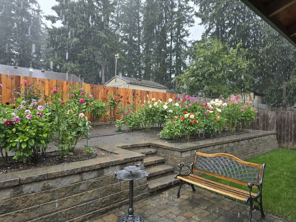 Trusted garden landscaping for homes in Covington, WA by DLM Landscape