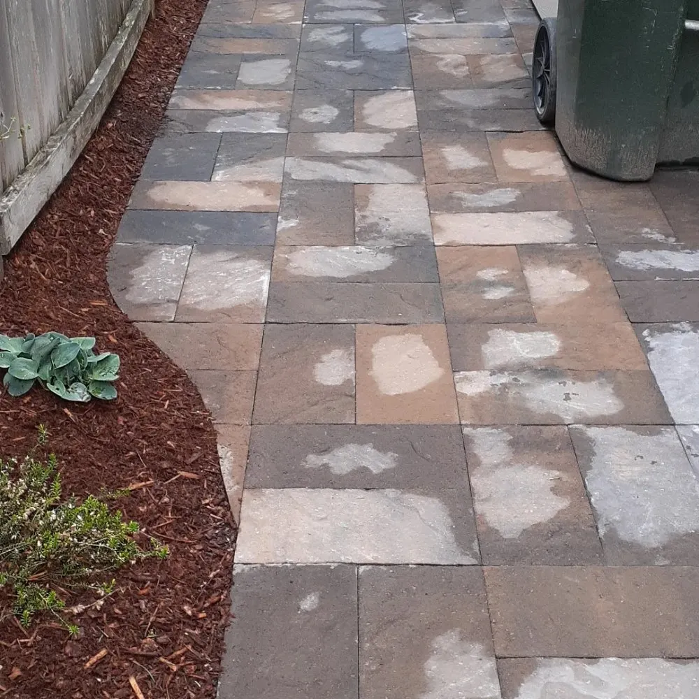 Local landscaping services in Covington, WA by DLM Landscape