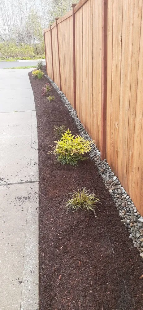 Reliable yard cleanup service in Covington, WA by DLM Landscape