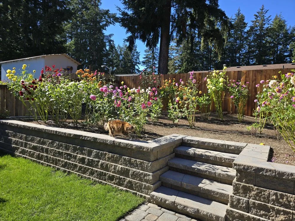 Top-rated landscaping services in Covington, WA - DLM Landscape