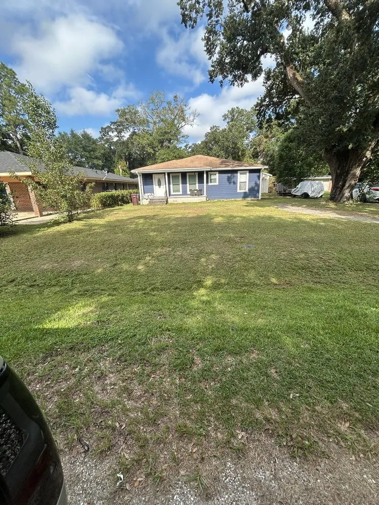 Top-rated yard cleanup service near you across Satsuma, AL - DLM Services