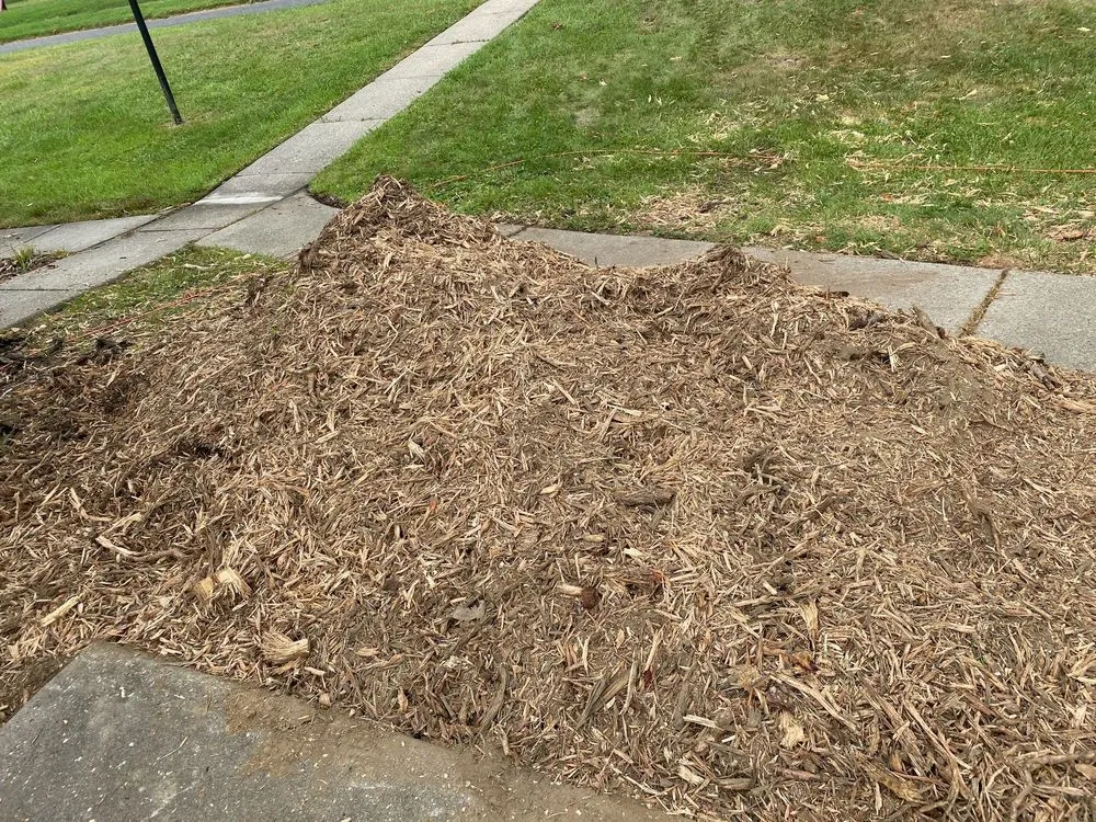 Custom landscape installation for homes across Burlington, NJ - DLM Tree Services