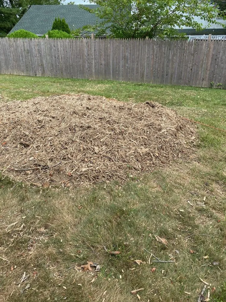 Professional landscaping services for homes in Burlington, NJ by DLM Tree Services