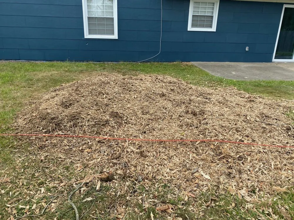 Local lawn mowing service for beautiful yards across Burlington, NJ - DLM Tree Services