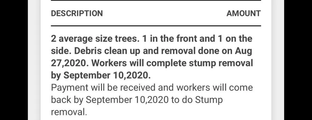 Affordable lawn care service in Burlington, NJ - DLM Tree Services