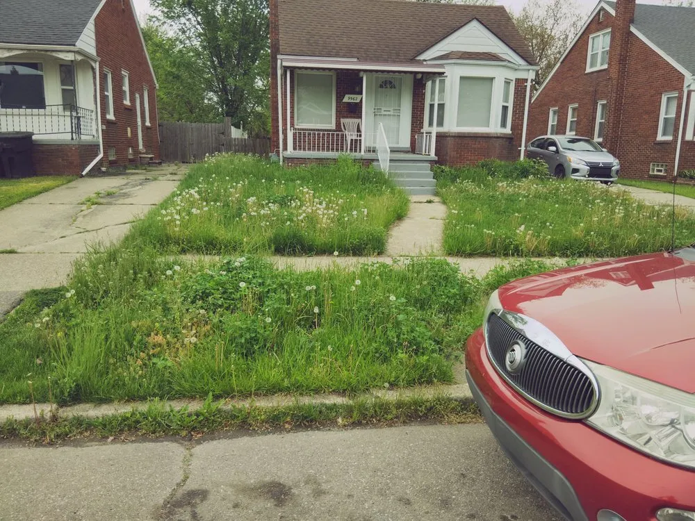 Trusted residential landscaping experts serving Detroit, MI - Dlove Lawncare