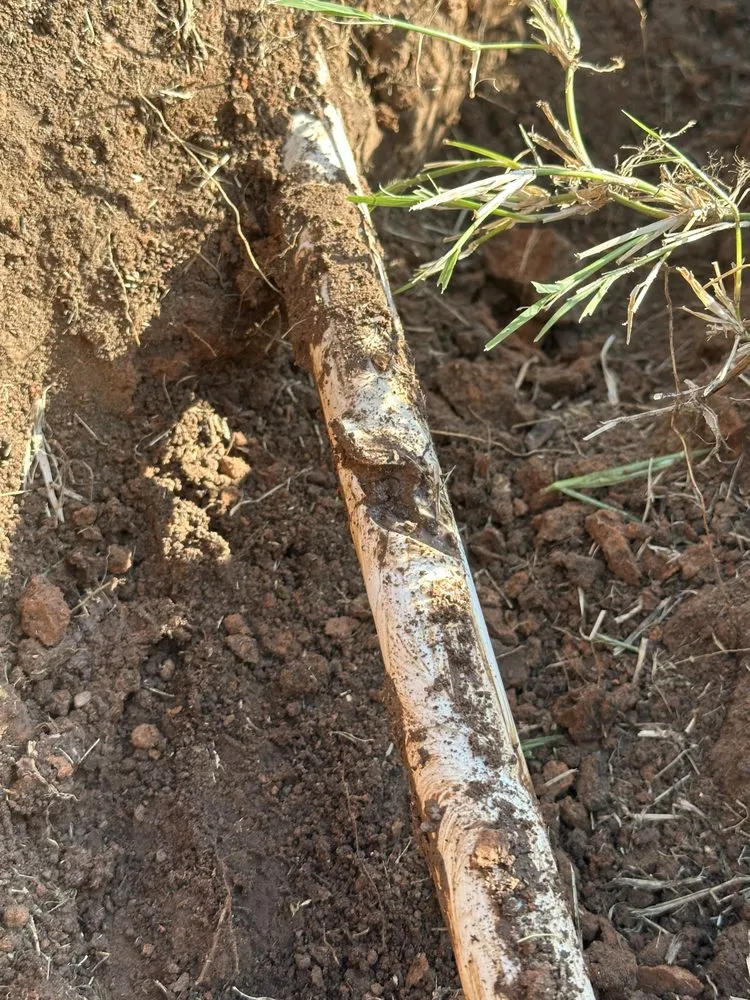 Professional lawn mowing service near you across El Reno, OK - DL’s Irrigation Repair and landscaping