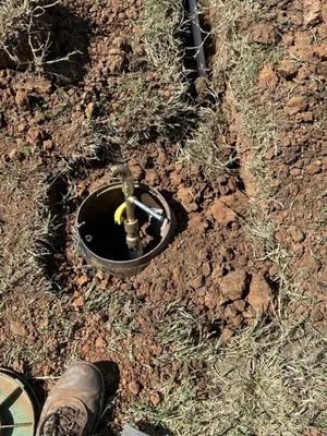 DL’s Irrigation Repair and landscaping