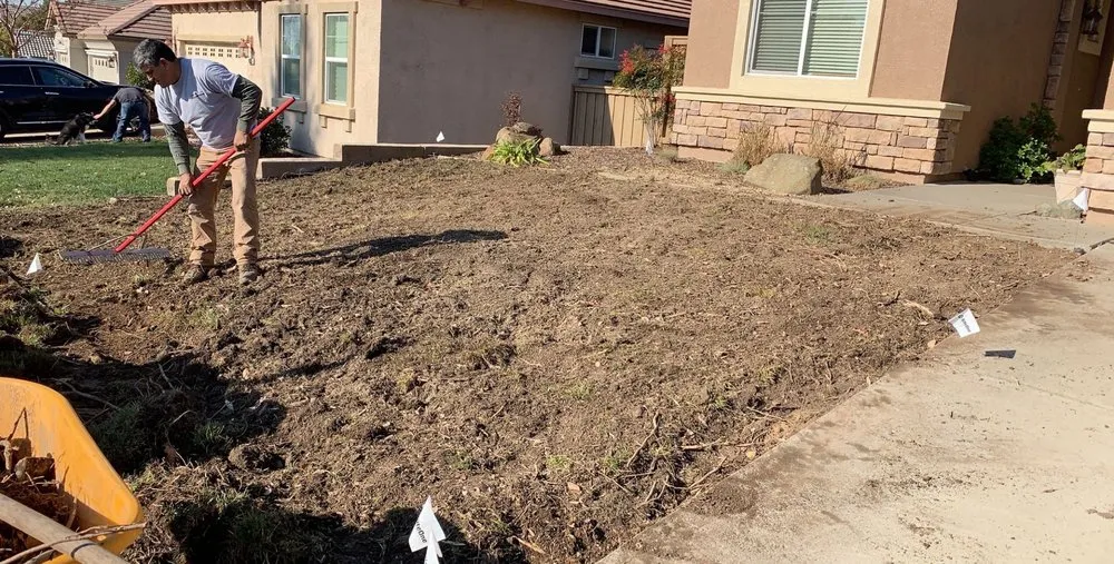Trusted yard cleanup service in Sacramento, CA - DLS Landscape & Concrete