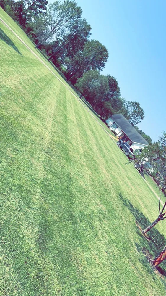 Affordable landscape design in Columbus, MS - DL’s Lawn Care