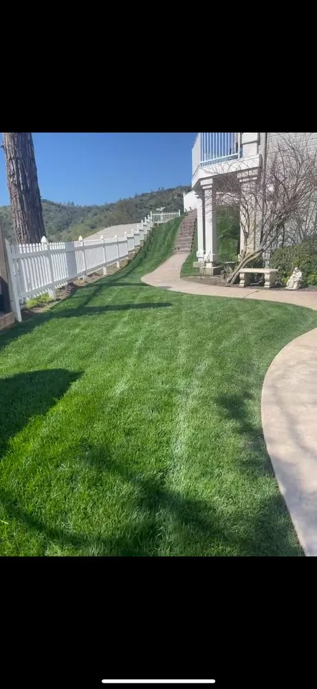 Top-rated lawn care service in Fresno, CA by DLS Lawn Service