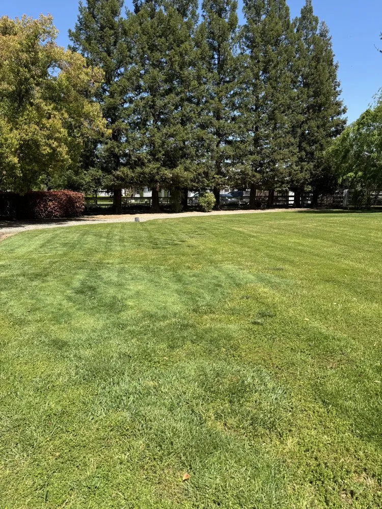 Expert residential landscaping in Fresno, CA - DLS Lawn Service